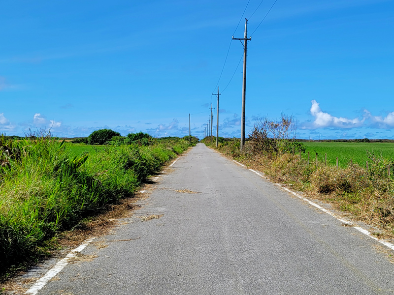 kuroshima-roadx800.jpg