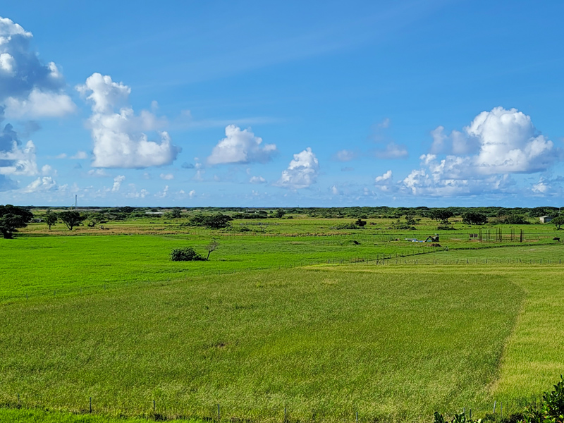 kuroshima-view4x800.jpg