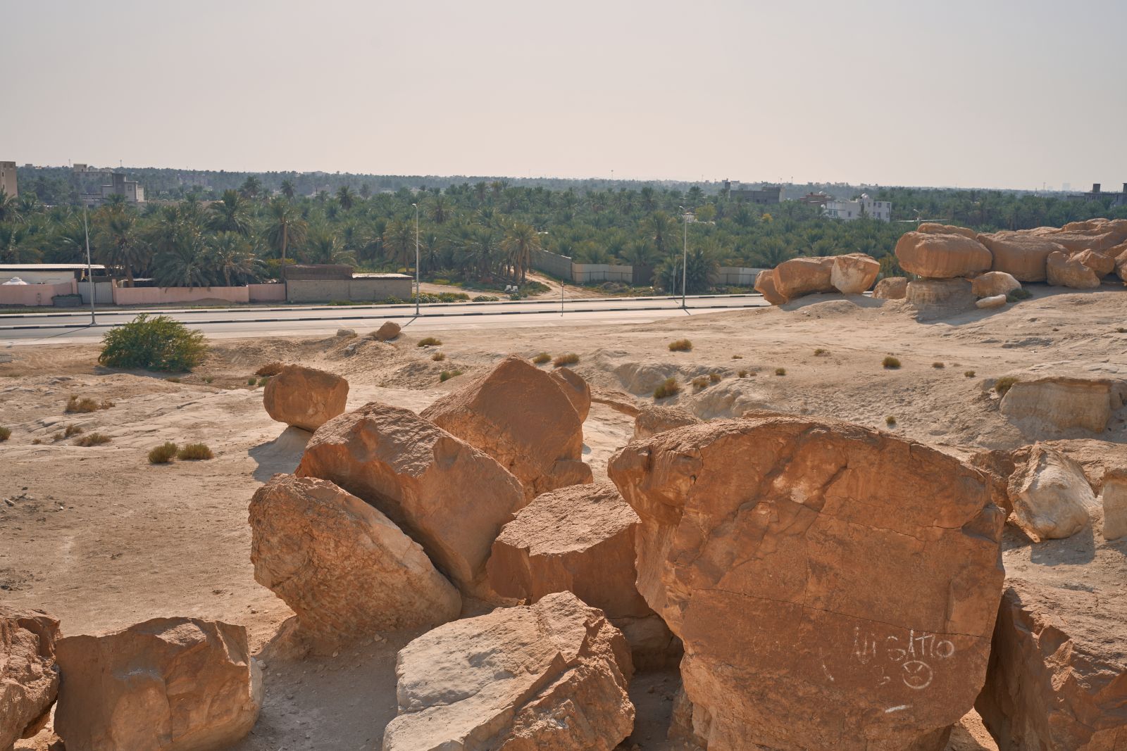 arabia093.jpg