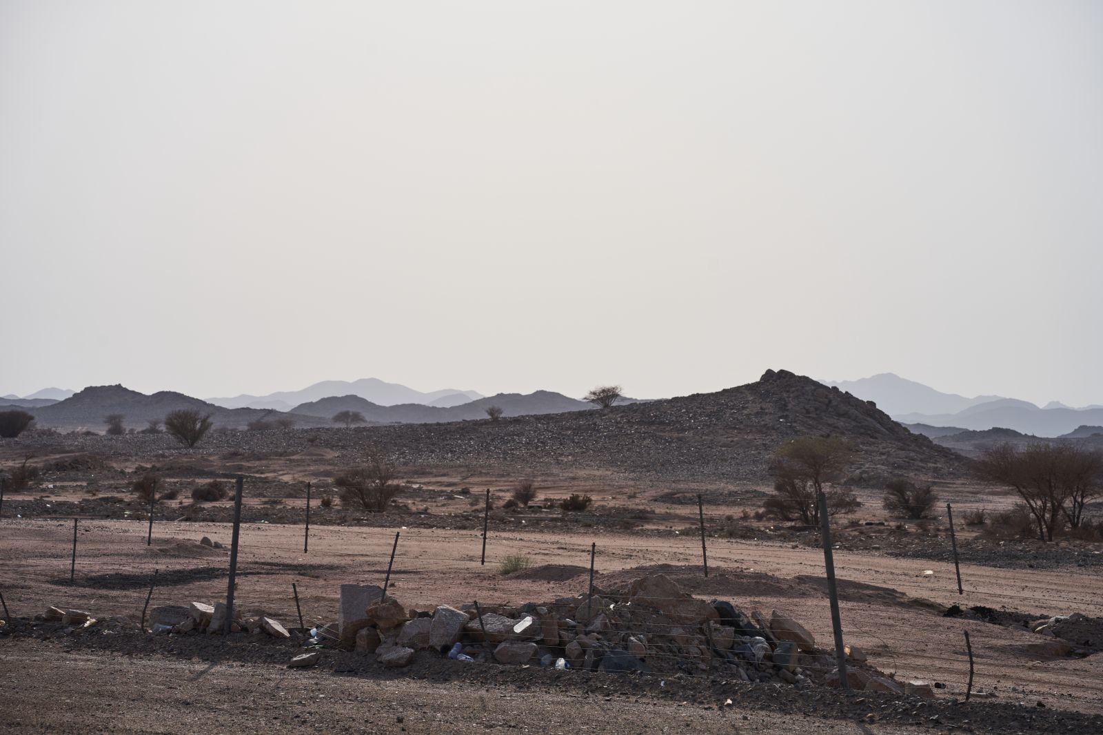 arabia015.jpg