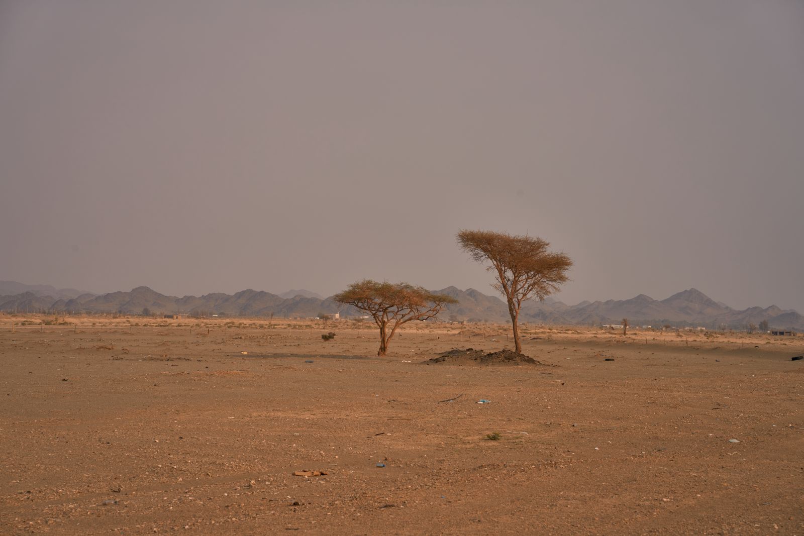 arabia027.jpg