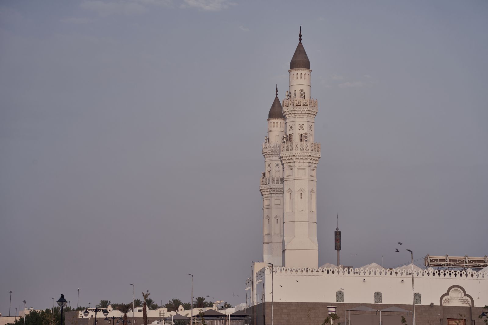 arabia135.jpg