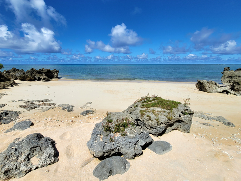 another-beach3x800.jpg