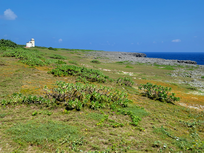 view-tower-distancex800.jpg