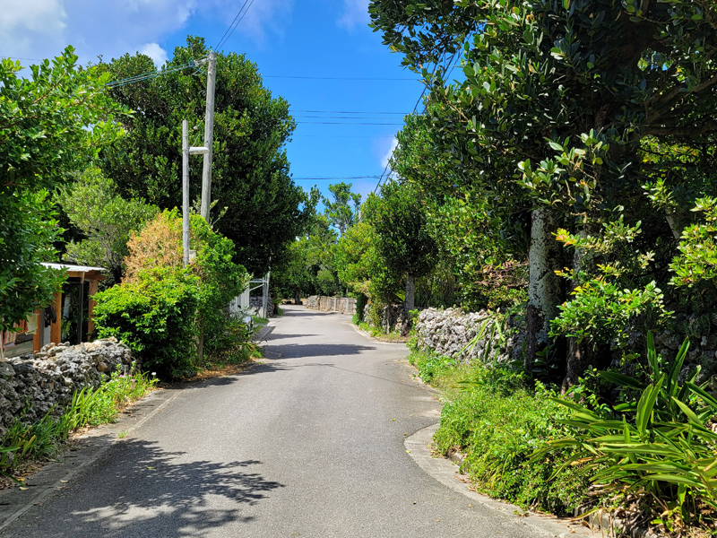 village-streetx800.jpg
