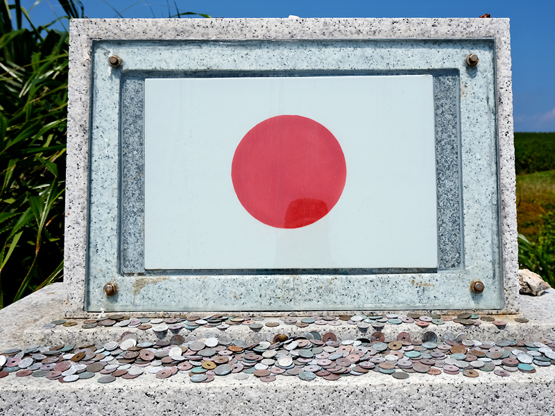 flag-coinsx800.jpg