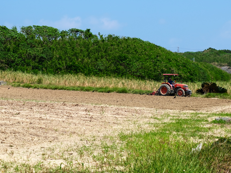 hateruma-field2x800.jpg