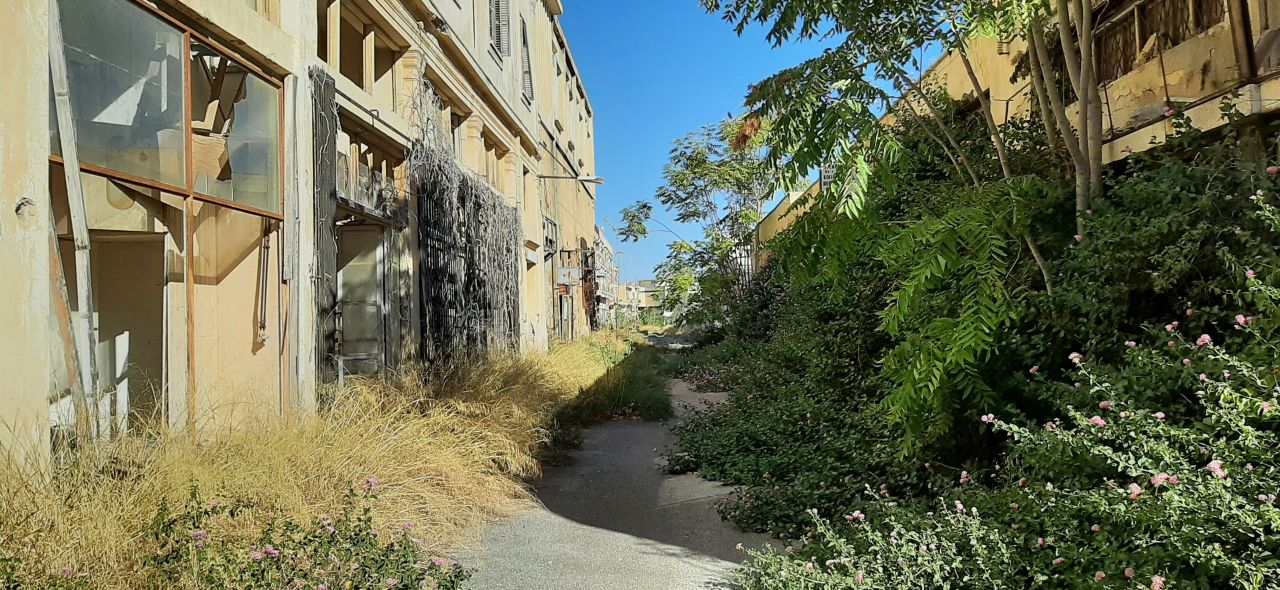 20220926_090656.jpg