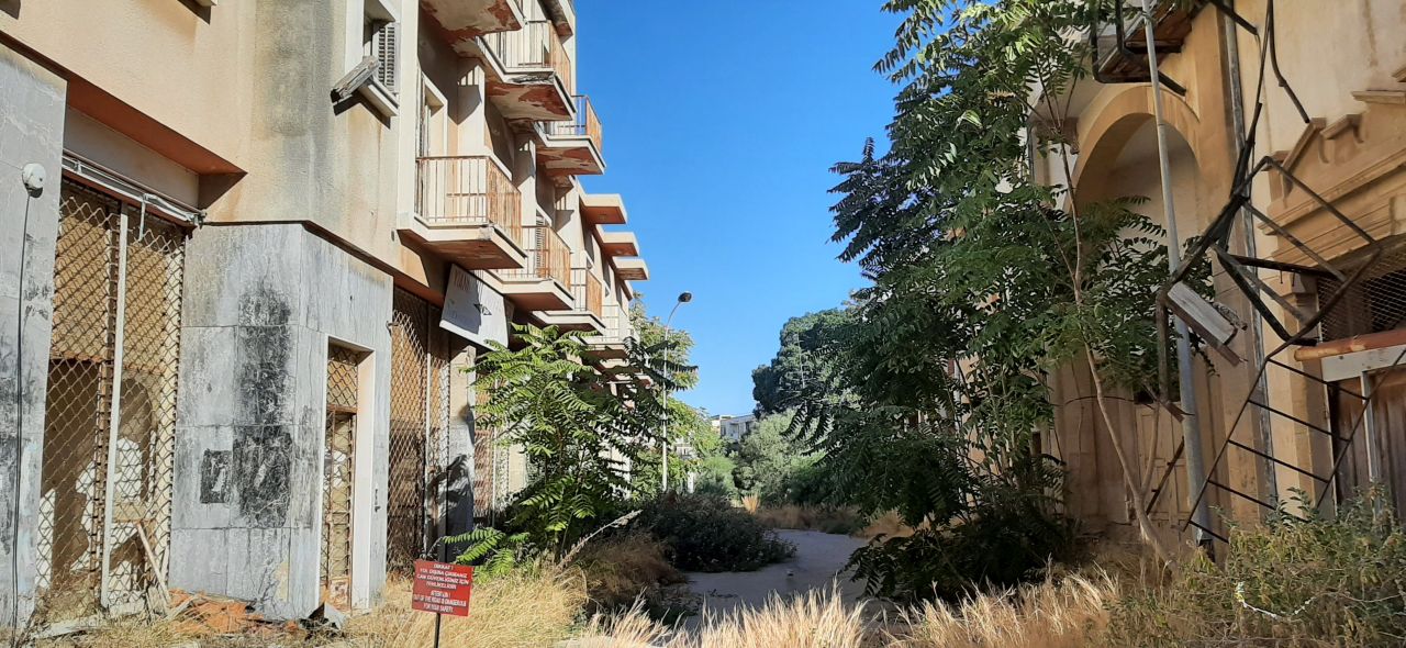 20220926_091557.jpg