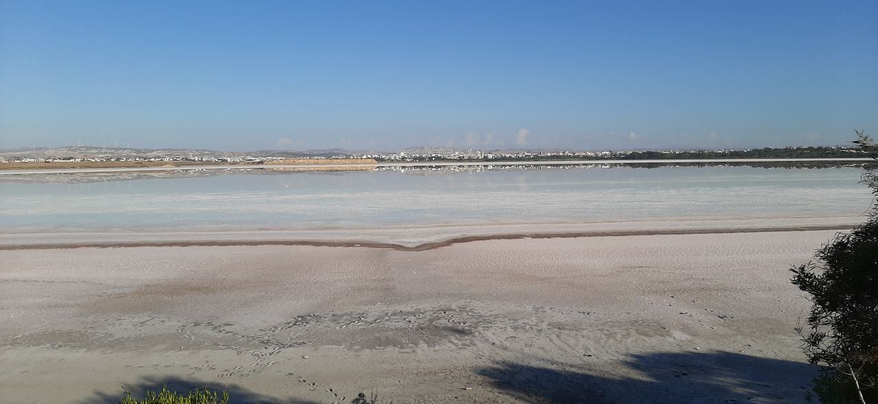 SaltLake02.jpg