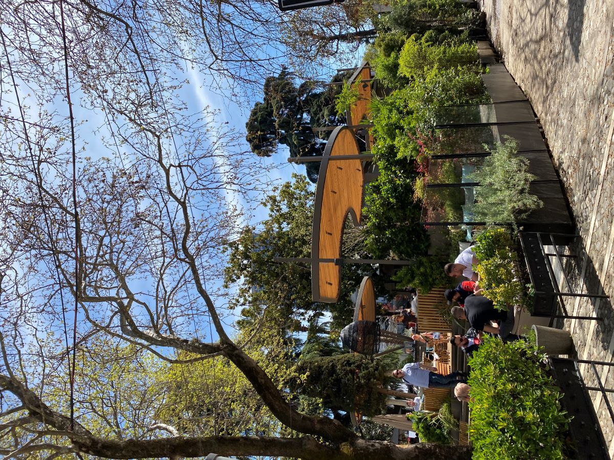Millennium Garden 1.jpg