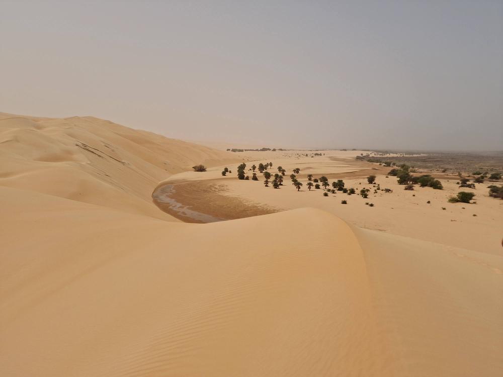 dune.jpg