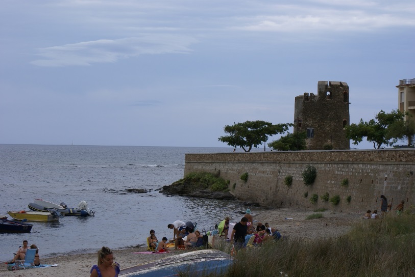 DSC08779.jpg
