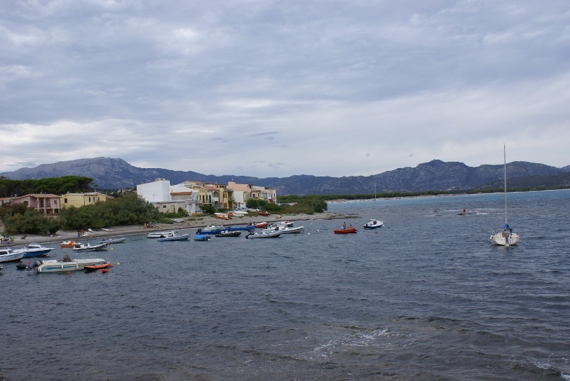 DSC08780.jpg