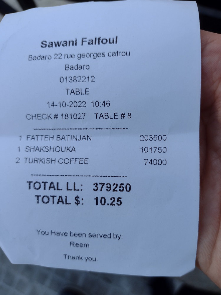 Sawani Falfoul4.jpg