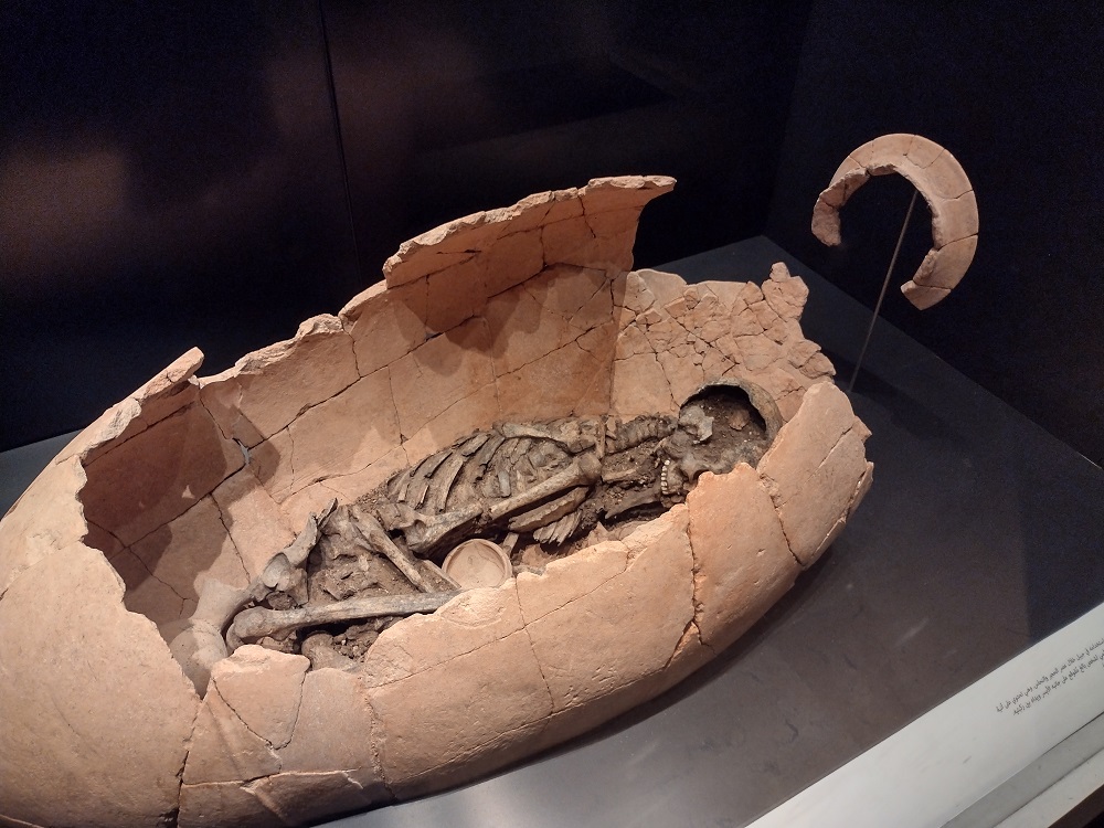 muzeum9.jpg