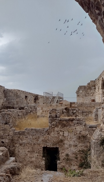 cytadela2.jpg