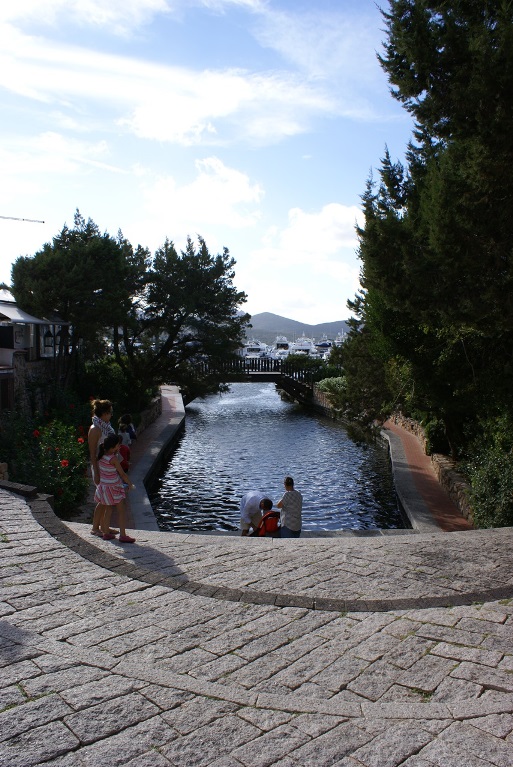 DSC08700.jpg