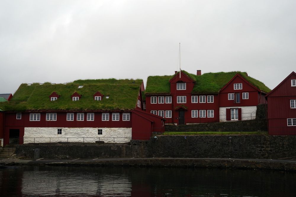 51.jpg