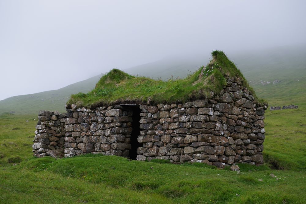 136.jpg
