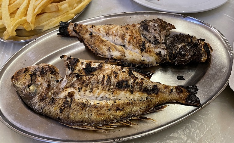ryba_Tripoli7.jpg