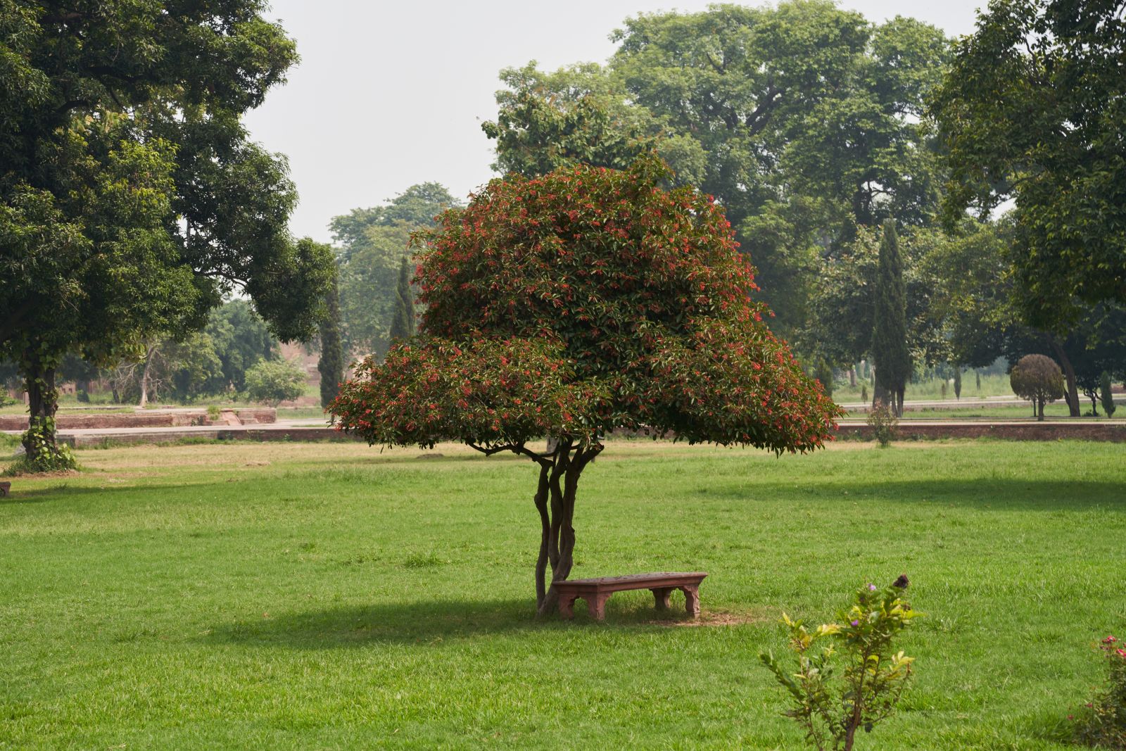 2609_Arabia_Pakistan_1291.jpg