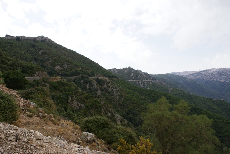 DSC08913.jpg