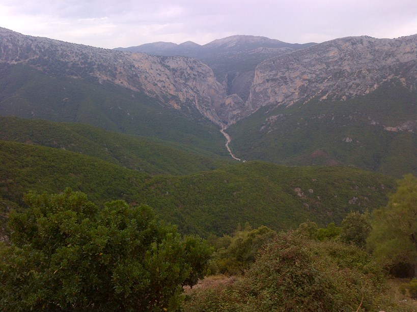 IMG-20140820-00433.jpg