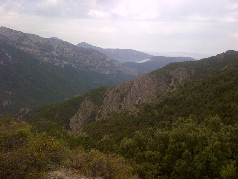 Urzulei-20140820-00432.jpg