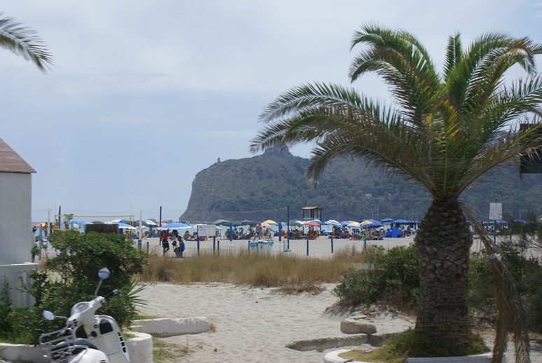 DSC09005.jpg