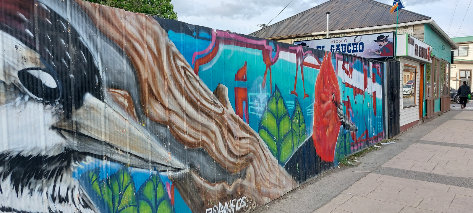 PT (37 z 38).jpg