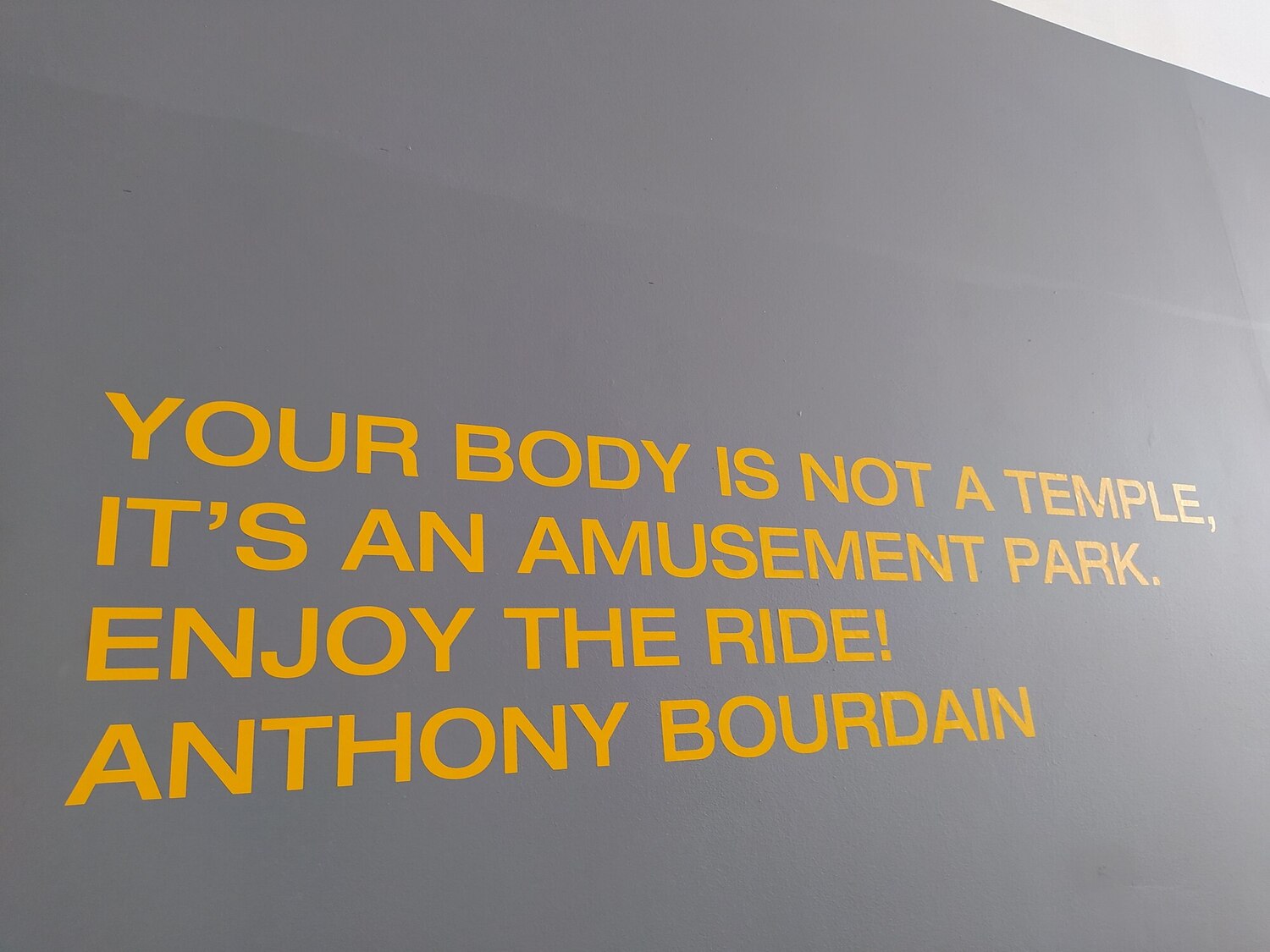 IMG_20221118_140338.jpg