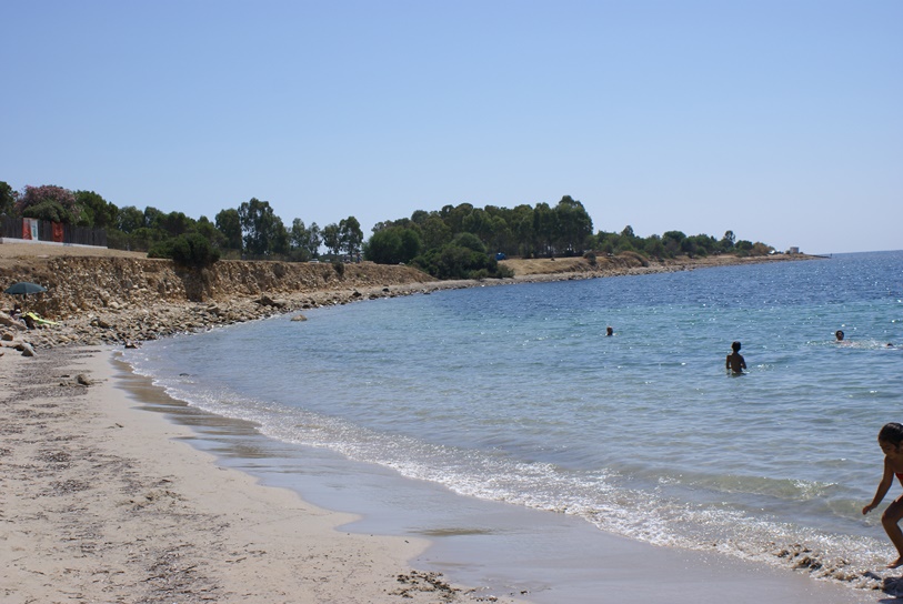 DSC08979.jpg