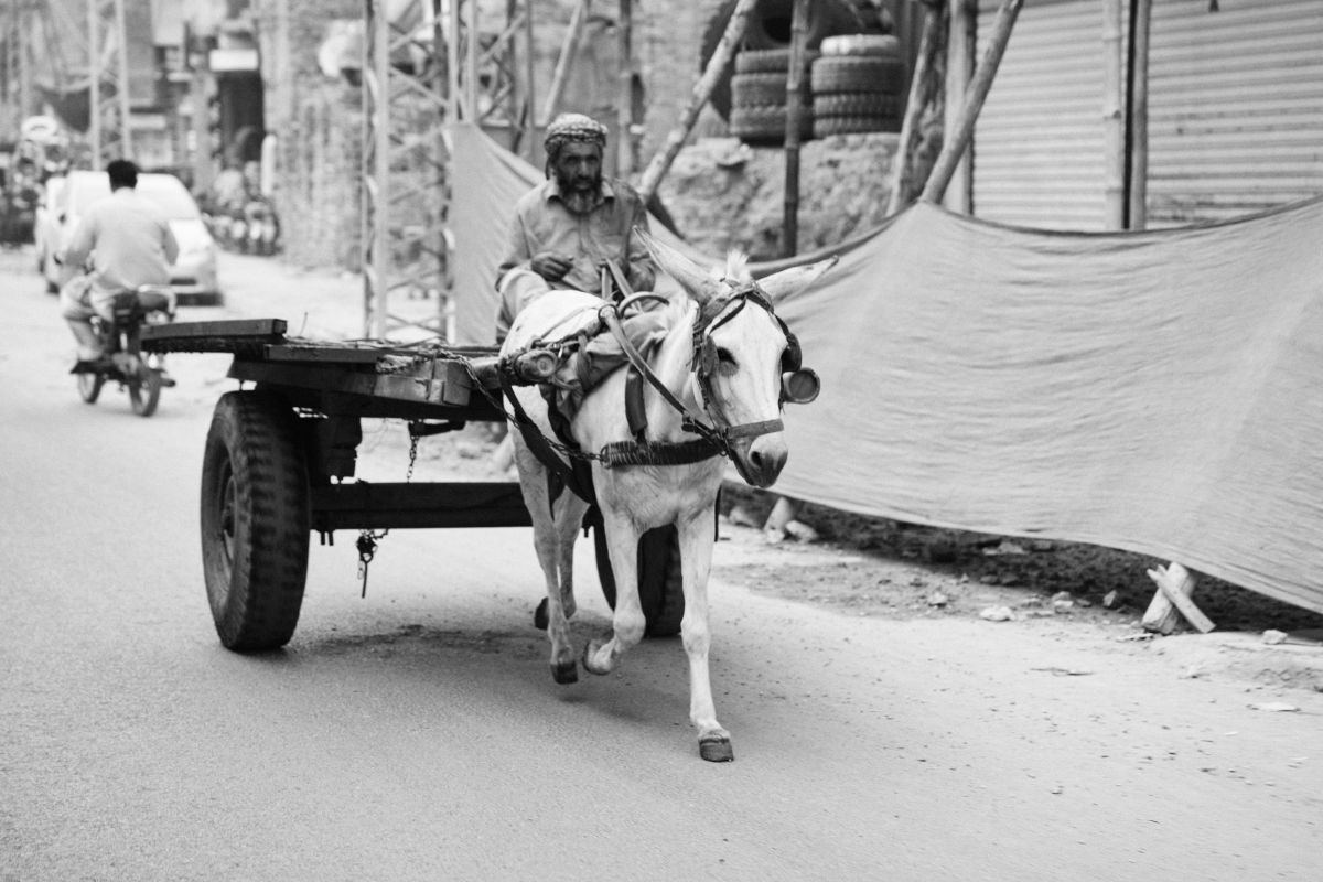2609_Arabia_Pakistan_851.jpg