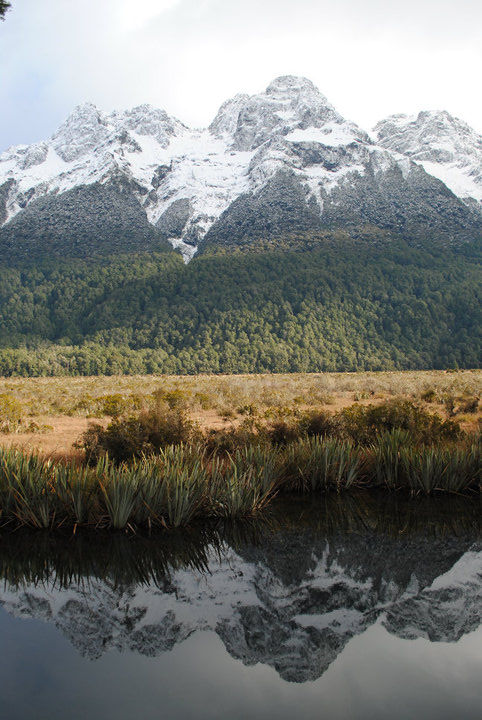 NZ.jpg