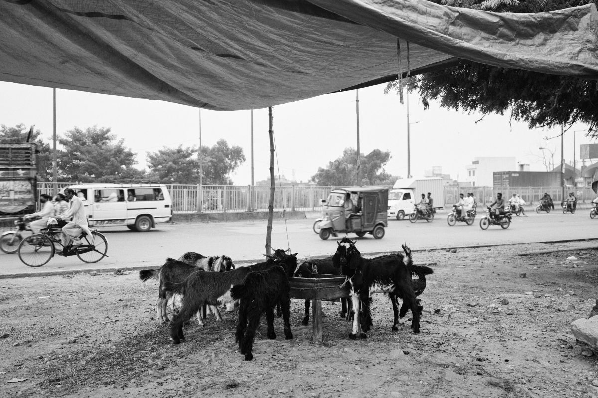 2609_Arabia_Pakistan_1144.jpg