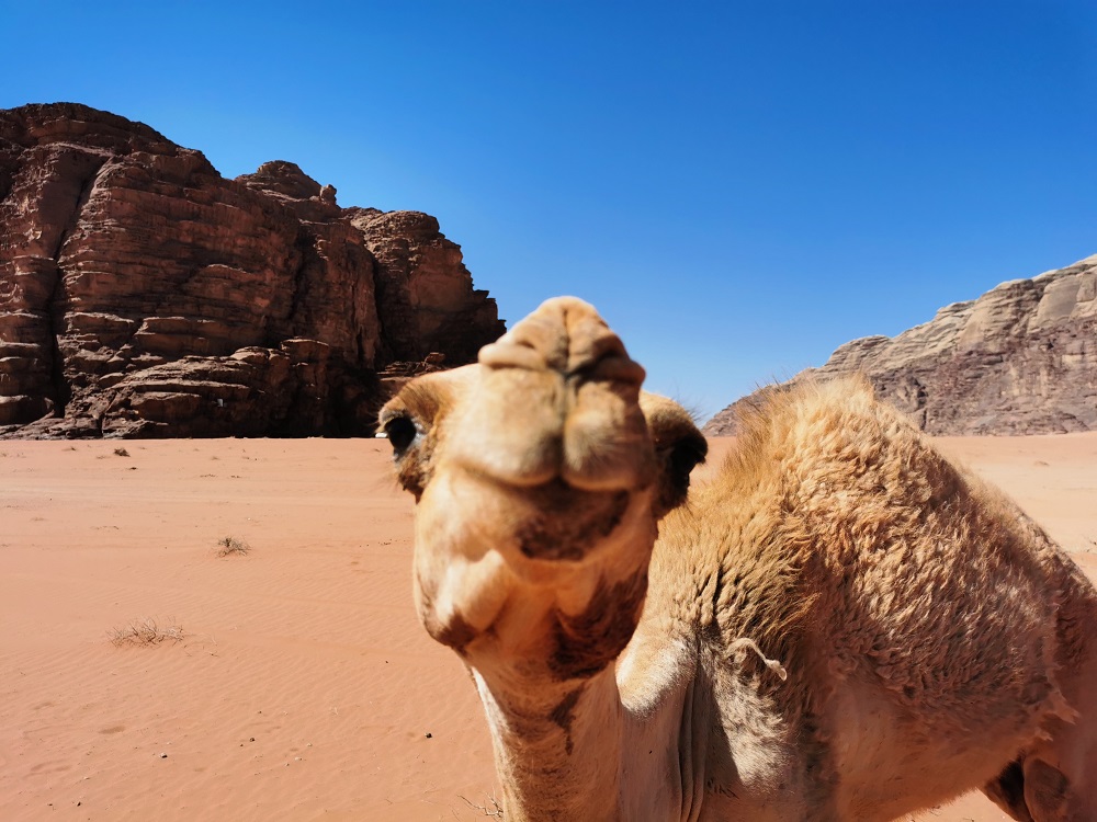 Jordania Wadi Rum.jpg