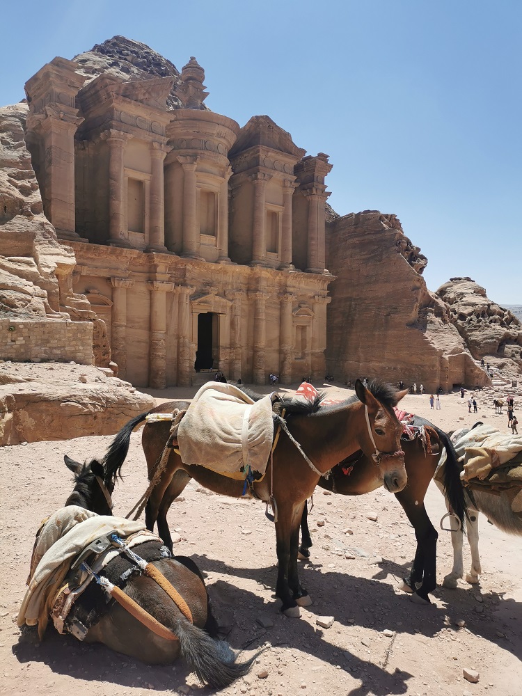 Petra Jordania.jpg