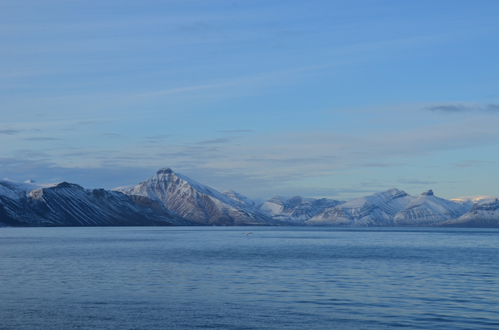DSC_3945JPG.jpg