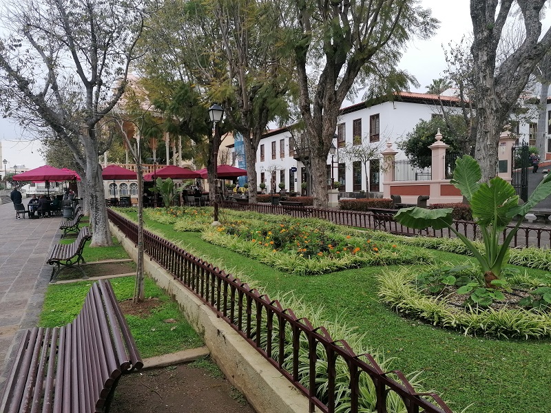 2-Orotava.jpg