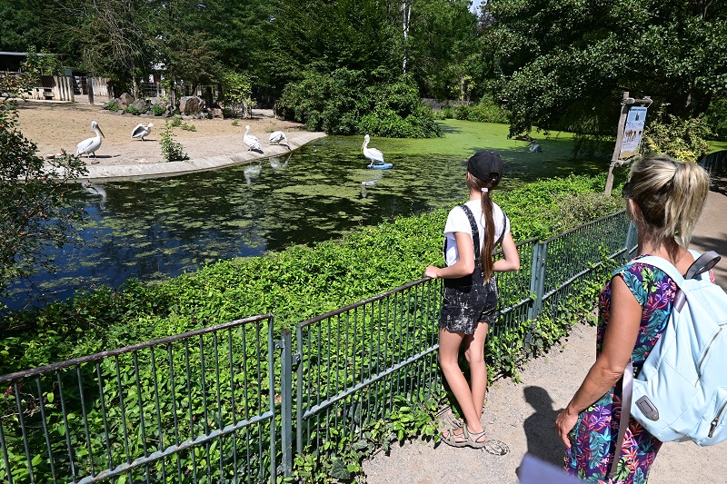 5-Lipsk-ZOO.JPG