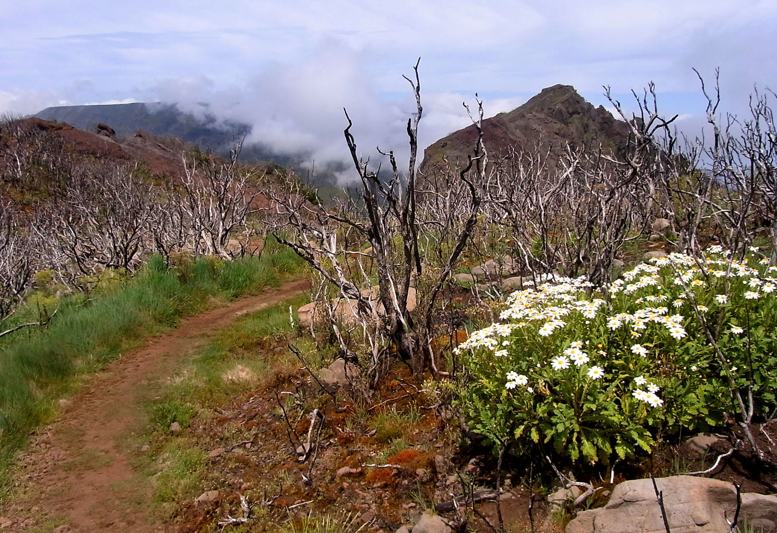 P17G0679.JPG