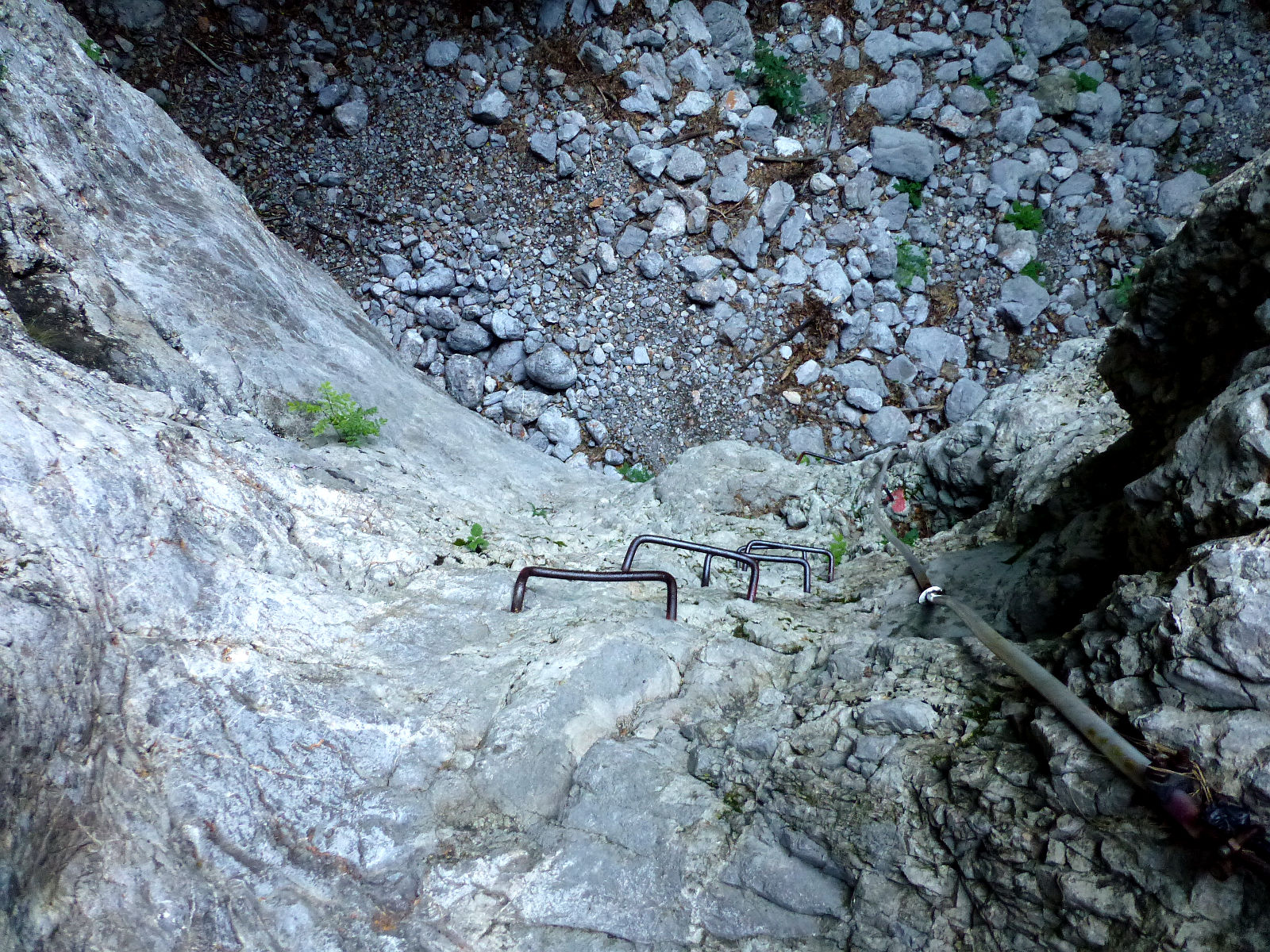 P2620864.JPG