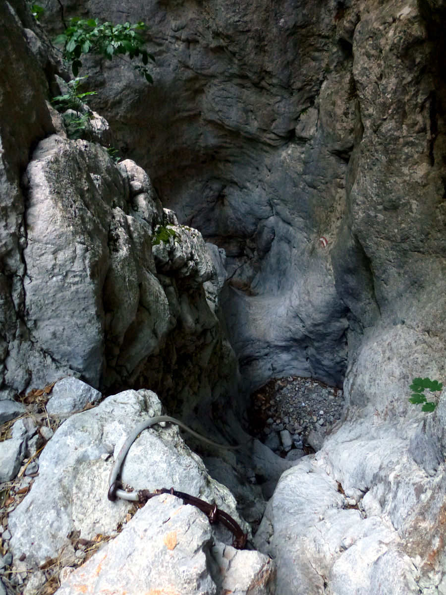 P2620872.JPG