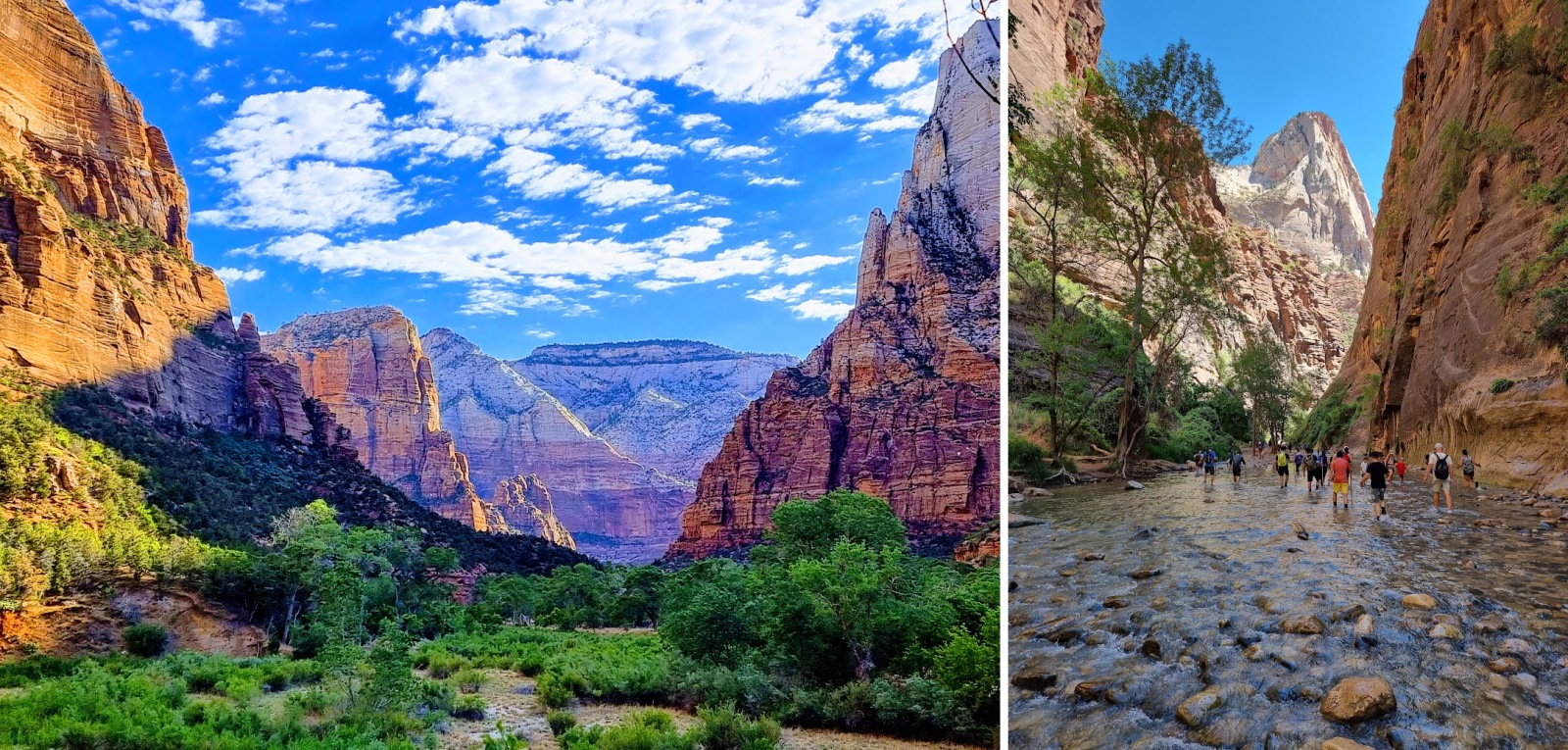 lipiec-7-zion-np.jpg