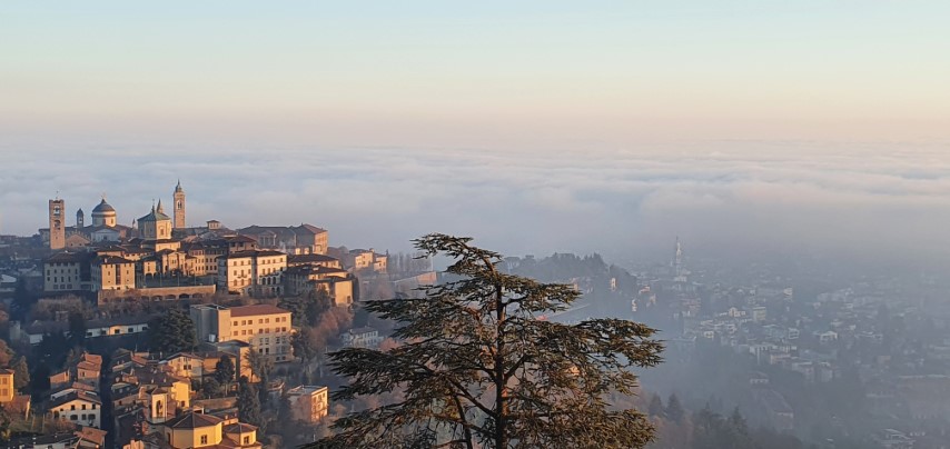 20221227_161045 - Copy.jpg