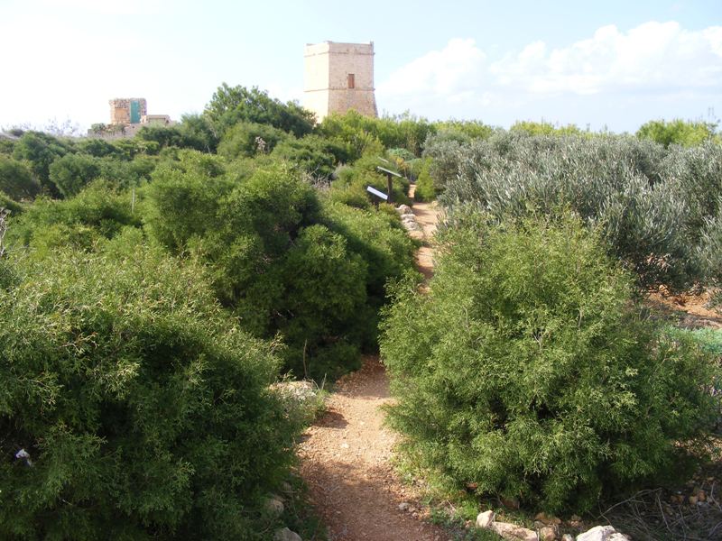 DSCF3027.JPG