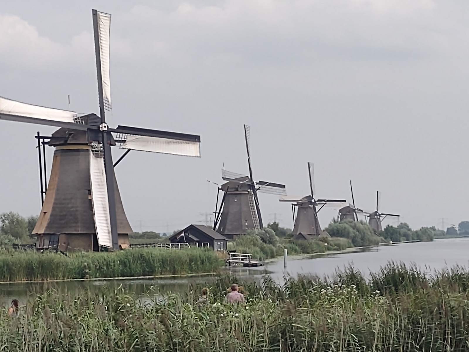 Kinderdijk -1.jpg