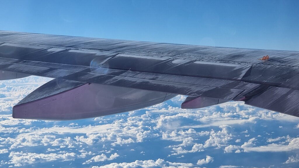 rsz_20230121_094222.jpg