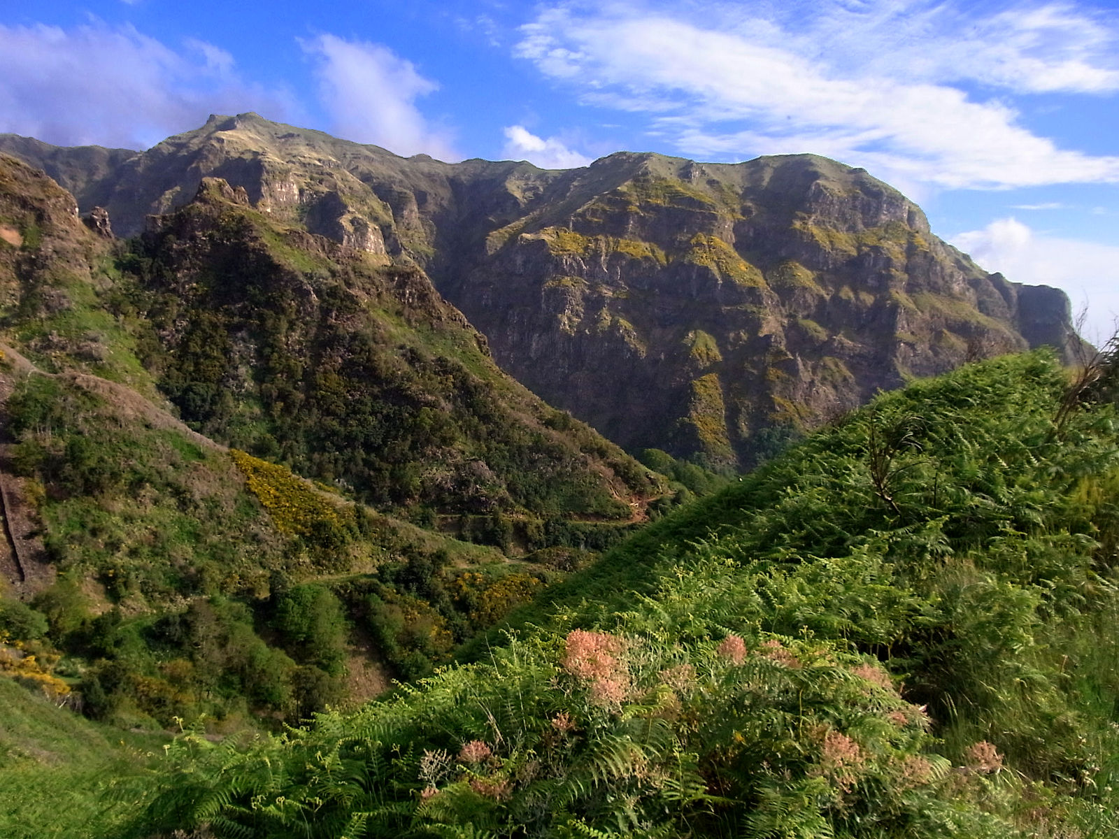 P17G0805.JPG